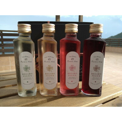 Regalo Felice ワインミニボトル 150ml×4本セット(Gift Box入り)