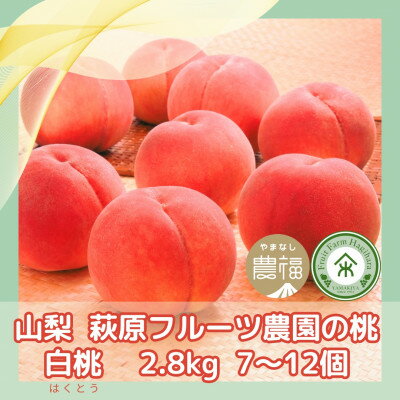 【ふるさと納税】山梨 萩原フルーツ農園の桃(白桃) 2.8kg(7～12個入)【配送不可地域：離島】【1477611】