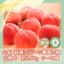 【ふるさと納税】山梨 萩原フルーツ農園の桃 白桃B (約2.8kg 5〜10個入)【配送不可地域:離島】【1477611】