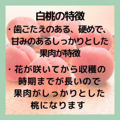 【ふるさと納税】山梨 萩原フルーツ農園の桃(白桃) 3.7kg(10～17個入)【配送不可地域：離島】【1477612】