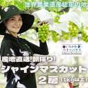 全国お取り寄せグルメ山梨食品全体No.80