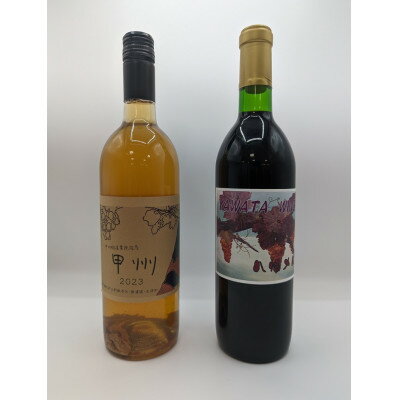 【山梨市産】赤白ワインセット(4)【1490161】