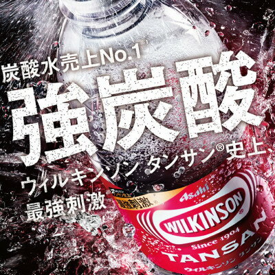 【ふるさと納税】ウィルキンソン タンサン 500ml【24本入×2箱】アサヒ飲料 強炭酸水 ペットボトル【1491077】