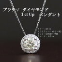 【ふるさと納税】プラチナ1カラットアップダイヤモンドペンダント【45cm】 1本【配送不可地域:沖縄県】【1491347】