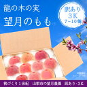 【ふるさと納税】訳あり桃・3K(7~10個)「龍の木の実 望月のもも」【配送不可地域:離島】【1495641】