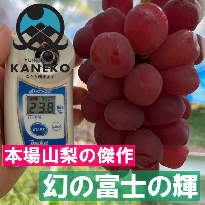 28位! 口コミ数「0件」評価「0」【超希少なレア品種】ごく限られた生産者しか許されない贈答プレミアム富士の輝　9月下旬発送【配送不可地域：離島】【1495734】