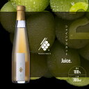 【ふるさと納税】シャインマスカットスパークリングジュース 300ml×1本 果汁 100% 山梨 シャインマスカット【1495913】