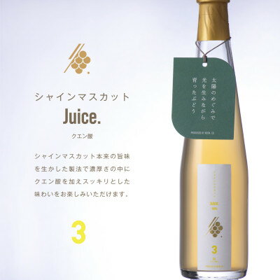 【ふるさと納税】クエン酸入りシャインマスカットスパークリングジュース 300ml×2本 果汁 100% 山梨 ギフト【1496106】