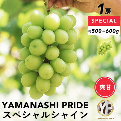 【ふるさと納税】フルーツ王国山梨産厳選 シャインマスカット 1房(約500-600g)YAMANASHI PRIDE【配送...