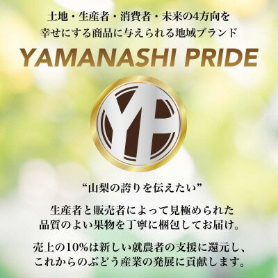 【ふるさと納税】フルーツ王国山梨産厳選 シャインマスカット 1房(約500-600g)YAMANASHI PRIDE【配送不可地域：離島】【1501766】