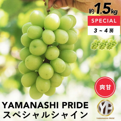 フルーツ王国山梨産厳選 シャインマスカット 3～4房(約1.5kg) YAMANASHI PRIDE【配送不可地域：離島】【1501767】