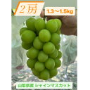 【ふるさと納税】シャインマスカット2房1.3~1.5kg【配送不可地域:離島】【1508023】