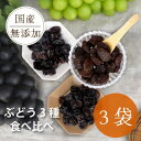 【ふるさと納税】シャインマスカット 巨峰 ピオーネ のレーズン 30g×3袋 食べ比べセット 無添加、砂糖不使用【1508439】