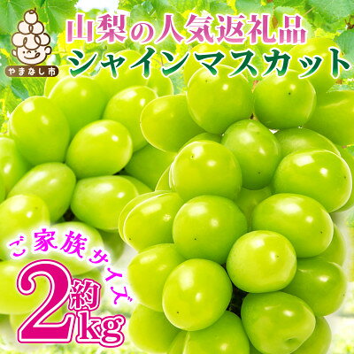 山梨県産シャインマスカット約2kg(3~5房)【配送不可地域：離島・沖縄県】【1513853】