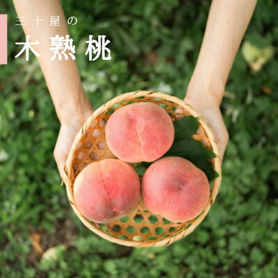 【ふるさと納税】三十屋木熟桃 【1.5kg(3~6玉)】【配送不可地域:離島】【1515509】