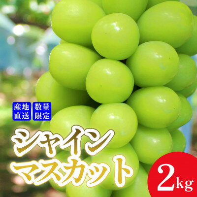 【ふるさと納税】【産地直送】厳選高級シャインマスカット 2kg(3～4房)【配送不可地域：離島・沖縄県】【1518455】