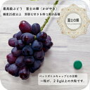 【ふるさと納税】富士の輝 大房800g以上 1房【配送不可地域:離島】【1525932】