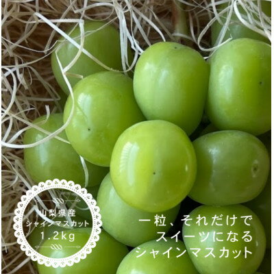 【ふるさと納税】シャインマスカット 2房 (1.2kg) 山梨産【配送不可地域:離島・沖縄県】【1529115】