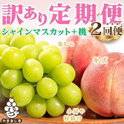 【発送月固定定期便】訳あり ご家庭用 山梨県産 桃・シャインマスカット 全2回【配送不可地域：離島】【4009880】