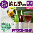 25位! 口コミ数「0件」評価「0」【毎月定期便】飲む酢のイメージを変える!ドリンクビネガー2種(濃縮タイプ)720ml×2本全6回【4012016】