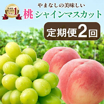 【ふるさと納税】【発送月固定定期便】山梨の美味しい【桃とシャインマスカット】定期便全2回【配送不...