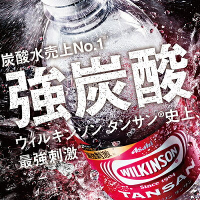 【ふるさと納税】【2週間毎定期便】【月2回:3か月】ウィルキンソン タンサン 500ml【24本入】1箱ずつ全6回【4013659】