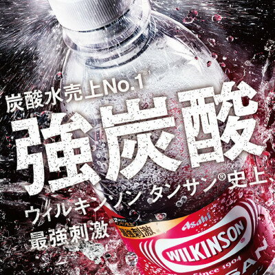 【ふるさと納税】【毎月定期便】【6か月お届け】ウィルキンソン タンサン 500ml【24本入】アサヒ飲料全6回【4050014】