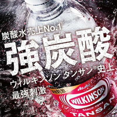 【ふるさと納税】【毎月定期便】【3か月お届け】ウィルキンソン タンサン 500ml【24本入】2箱 アサヒ飲料全3回【4050018】