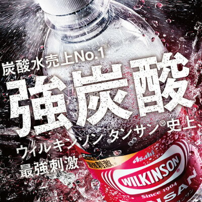 【ふるさと納税】【毎月定期便】【6か月お届け】ウィルキンソン タンサン 500ml【24本入】2箱 アサヒ飲料全6回【4050019】