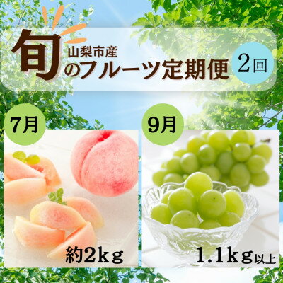 【ふるさと納税】【発送月固定定期便】山梨夏の味覚定期便〈桃 約2kg/シャインマスカット 1.1kg以上〉全2回【配送不可地域:離島】【4050317】