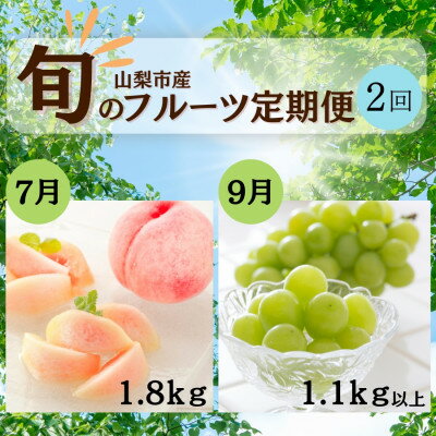 名称 【発送月固定定期便】山梨夏の味覚定期便〈桃 1.8kg/シャインマスカット 1.1kg以上〉全2回 保存方法 冷蔵 発送時期 【1回目】発送月の前月末日までのお支払いで発送月中旬より順次発送【2回目以降】発送月中旬より順次発送 提供元 株式会社エムズギフト 配達外のエリア 離島 お礼品の特徴 発送月固定の定期便です。 日本を代表する果樹王国山梨より、桃 1.8kgとシャインマスカット 1.1kg以上を旬の時期にお届けします。 桃の品種:夢桃香、白鳳、夢みずき、浅間白桃、なつっこ、一宮白桃、川中島白桃などの中から一番旬の品種を送らせていただきます。 山梨の夏の味覚を是非ご堪能ください。 ■生産者の声 山梨県には多くの特産品がありますが、生産者は日々時間と研究を重ね一生懸命ものづくりに励んでいます。 私たちM's giftはそんな作り手の思いが詰まったお品を皆様にお届けしています。 ■お礼品の内容について 7月 【ふるさと納税】【果物】山梨厳選の逸品旬の桃 1.8kg ・山梨厳選の逸品旬の桃[1.8kg　(6玉～8玉入り)] 　　原産地:山梨県山梨市/製造地:山梨県山梨市 　　賞味期限:出荷日+5日 9月 大人気!山梨のシャインマスカット2～3房　1.1kg以上 ふるさと納税 ・大人気!山梨のシャインマスカット[2～3房　計1.1kg以上] 　　原産地:山梨市 　　消費期限:出荷日+5日 ■注意事項/その他 ※天候や生育状況によりお届けが前後する場合がございます。記載の発送時期は目安となりますのでご了承ください。 ※生鮮品のため、賞味・消費期限は非常に短くなっております。到着後は状態をよくご確認のうえお早めにお召し上がりください。 ※桃の品種・玉数、シャインマスカットの房数の指定はできません。 ※冷蔵便の場合、到着次第すぐに冷蔵庫に入れて保存をし、美味しくお召し上がりください。 ※冷蔵便で桃が硬い場合は、桃に付着した水分をふき取り、日の当たらない通気性の良い場所にて常温で保存し、追熟させてお召し上がりください。 ※シャインマスカットは、デリケートな果実ですので、輸送中の揺れなどにより、房落ちなどが起こる場合があります。 　品質に問題ない範囲での房落ちについては何とぞご了承いただけますようよろしくお願いします ※粒の大きさは天候等により多少の変化がございます事をあらかじめご了承ください。 ※画像はイメージです。 ※お届け期間内に長期のご不在などございましたら、お早めにサポートセンターへご連絡をお願いいたします。 ※長期不在により受け取れなかった場合の再送はいたしかねます。 ■定期便に関するご注意 ※寄付申し込み後に発送時期の変更はできません。 ※寄付先自治体や提供事業者の事情や天候、交通事情その他の事情等により、お礼品の調達および発送に支障が生じた場合には、お届けが遅れることがあります。あらかじめご了承ください。 ※提供元の都合により、年末年始等の長期休業期間を避けて配送することがあります。 ※発送される曜日は、回ごとに変わる場合があります。 ・ふるさと納税よくある質問はこちら ・寄附申込みのキャンセル、返礼品の変更・返品はできません。あらかじめご了承ください。このお礼品は以下の地域にはお届けできません。 ご注意ください。 離島