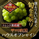 【ふるさと納税】【旬を先取り】最高糖度20度オーバー贈答用プレミアム甲州戦国ハウスオブシャイン2025年6月中旬発送【配送不可地域:離島】【1494213】