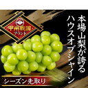 【ふるさと納税】【本場山梨の真骨頂】全国に先駆けて話題のハウスオブシャインマスカットの旬を堪能2025年6月上旬発送【配送不可地域:離島】【1494994】