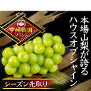 【ふるさと納税】【本場山梨の旬を堪能】今、話題のハウスオブシャインマスカット全国に先駆け2025年6月中旬発送【配送不可地域:離島】【1494995】