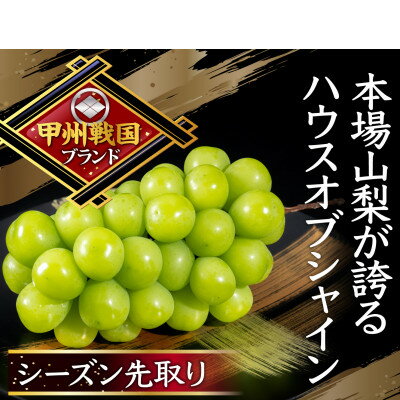 [唯一無二の逸品]全国でココだけでしか味わえない幻のハウスオブシャインマスカット お試し6月下旬発送[配送不可地域:離島]