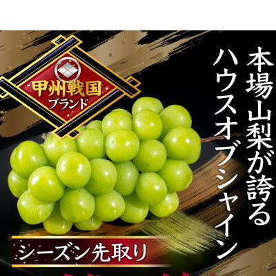 18位! 口コミ数「0件」評価「0」【本場山梨の旬を堪能】今逃せば1年待ちの幻のハウスオブシャインマスカット　6月中旬発送【配送不可地域：離島】【1495008】