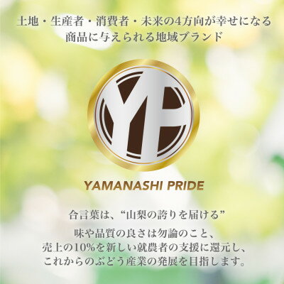 【ふるさと納税】フルーツ王国山梨産厳選 シャインマスカット 2房 (1kg以上)YAMANASHI PRIDE【配送不可地域：離島】【1108669】