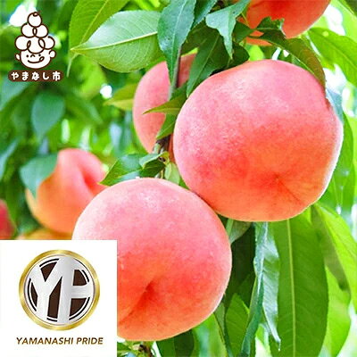 【とろける甘み】YAMANASHI PRIDEプレミアムピーチ 完熟桃 (3～5個)【配送不可地域：離島・北海道・沖縄県・中国・四国・九州】【1108846】