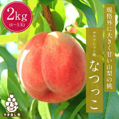 サラブレット桃! 規格外に大きく甘い山梨の桃『なつっこ』2kg【配送不可地域：離島・沖縄県】【1115315】