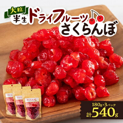 【ふるさと納税】やまなし半生ドライフルーツ さくらんぼ 3パックセット 540g【1515457】
