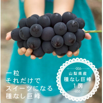 【ふるさと納税】巨峰ぶどう(種なし) 1房 500グラム以上 産地直送 山梨県山梨市牧丘産【配送不可地域:離島・沖縄県】【1535989】 【ふるさと納税】巨峰ぶどう(種なし) 1房 500グラム以上 産地直送 山梨県山梨市牧丘産【配送不可地域:離島・沖縄県】【1535989】