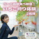 【ふるさと納税】5〜6品種食べ放題!いちご狩り体験2名様ご招待!【1542971】