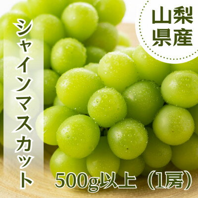 やみつきシャインマスカット 500g以上(1房)[配送不可地域:離島]