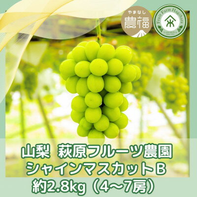 【ふるさと納税】山梨 萩原フルーツ農園のシャインマスカット B(約2.8kg 4~7房)【配送不可地域:離島】【1559305】 【ふるさと納税】山梨 萩原フルーツ農園のシャインマスカット B(約2.8kg 4~7房)【配送不可地域:離島】【1559305】