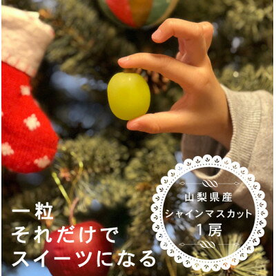 【ふるさと納税】【年内発送】冬に食べられる シャインマスカット 1房(500g以上)山梨産【配送不可地域..