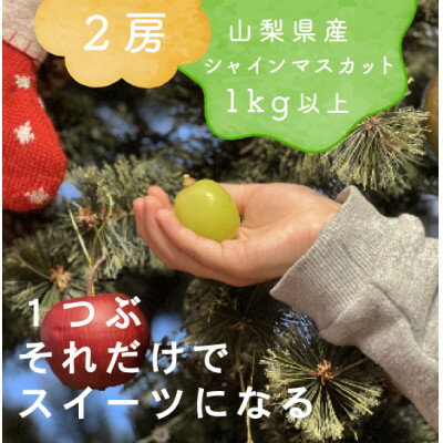 【ふるさと納税】【年内発送】冬に食べられる シャインマスカット 2房 (計1kg以上)山梨産【配送不可地域：離島・沖縄県】【1560607】