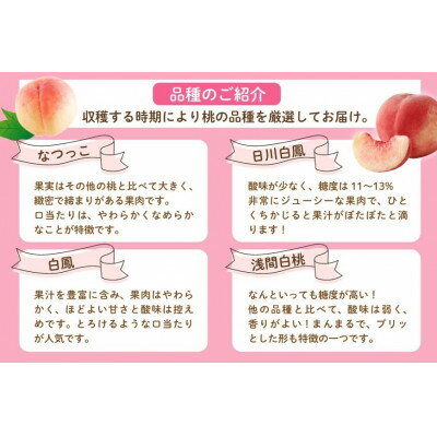 【ふるさと納税】桃 3kg (7～12玉) 山梨県山梨市産地直送 季節限定【配送不可地域：離島・沖縄県】【1566261】