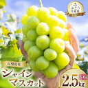 【ふるさと納税】朝採れ シャインマスカット 2.5kg (3〜6房) 山梨県山梨市 数量限定【配送不可地域:離島・沖縄県】【1566263】