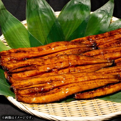 【長崎産】輝きアジ開き　3枚　あじ　鯵　一夜干し　干物　冷凍