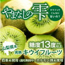 【ふるさと納税】【フルーツ王国山梨】が贈る 大玉完熟キウイフルーツ 1パック5個入り×6パックセット【1567651】